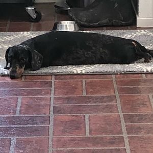 Meet your Posher, Logan